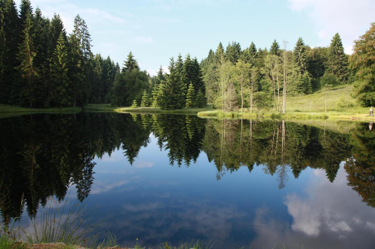 Chalet Des Rochires Gérardmer Dış mekan fotoğraf
